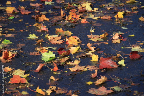 Vorsicht Rutschgefahr!