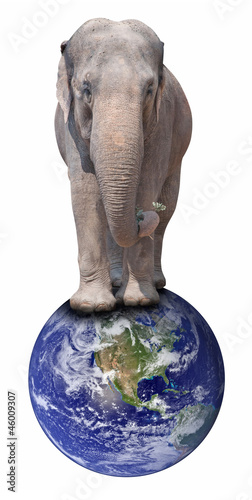 Elephant on Globe