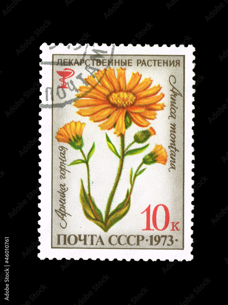 USSR shows Herbs. Arnica mountain, circa 1973 USSR shows Herbs. Arnica mountain, circa 1973