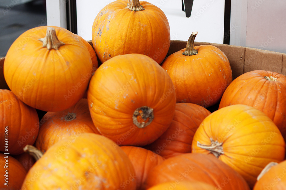 box of pumpkins at public market. box of pumpkins at public market.