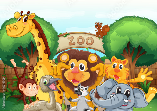 a zoo and the animals