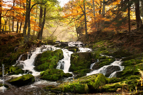 Fototapeta Naklejka Na Ścianę i Meble -  im Herbst - Wasserfall im Wald