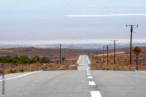 Картината върху платно Road in Atacama desert, Chile