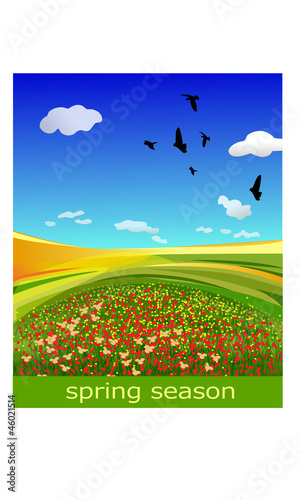 Frühlingslandschaft