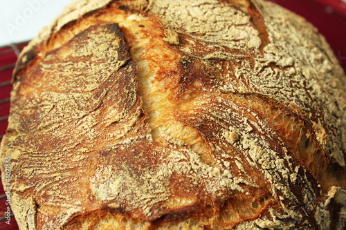 Closeup of Artisan Bread