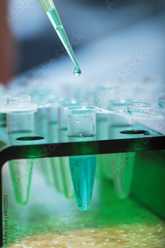 molecular biology