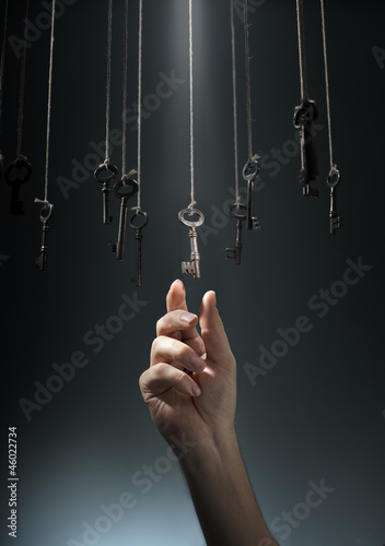 Фотография Choosing the Right One