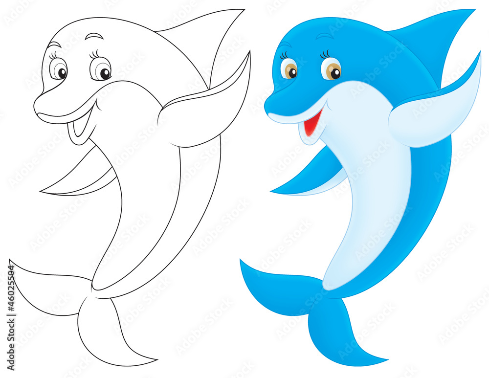 Fototapeta premium Dolphin