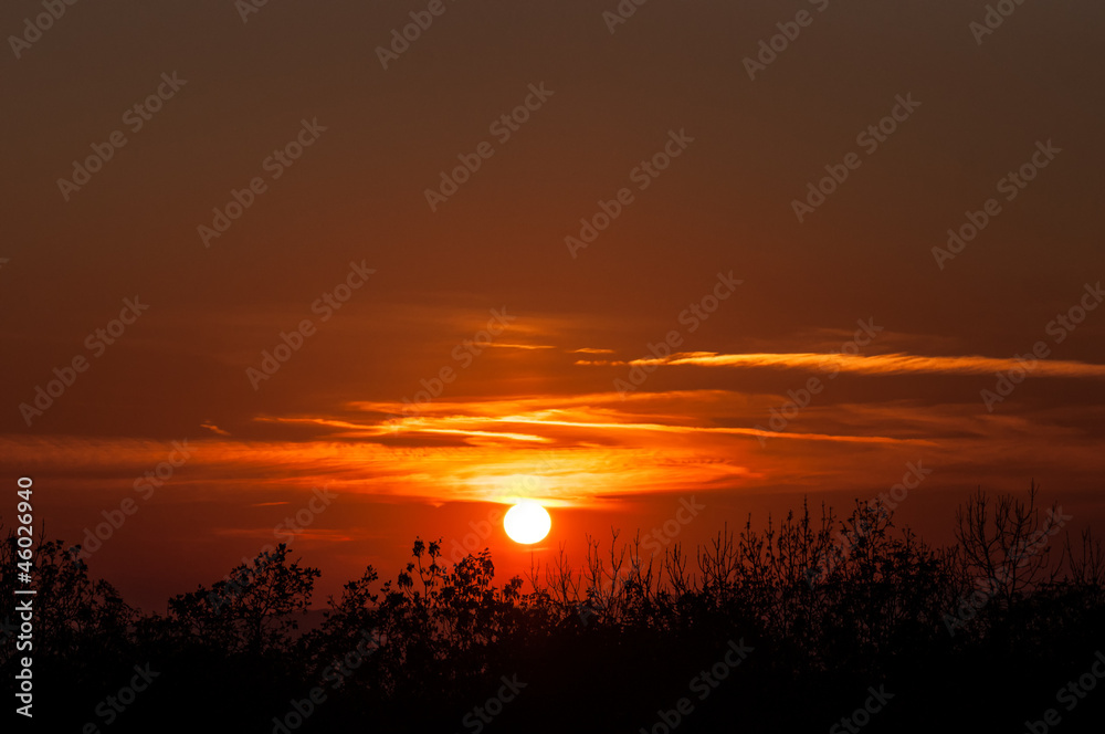 Obraz premium Sunset over black forest mist