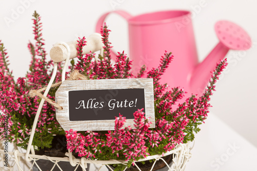 Beautiful basket with heather and an a pink watering-can