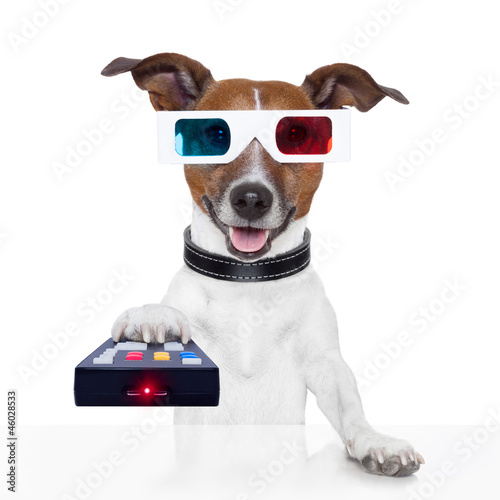 remote control 3d glasses tv movie dog photo