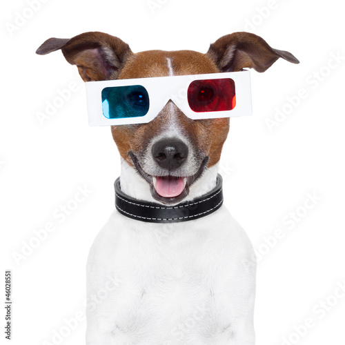 3d  glasses movie cinema dog © Javier brosch