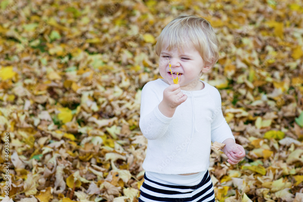 Little toddler boy in autumn park Little toddler boy in autumn park