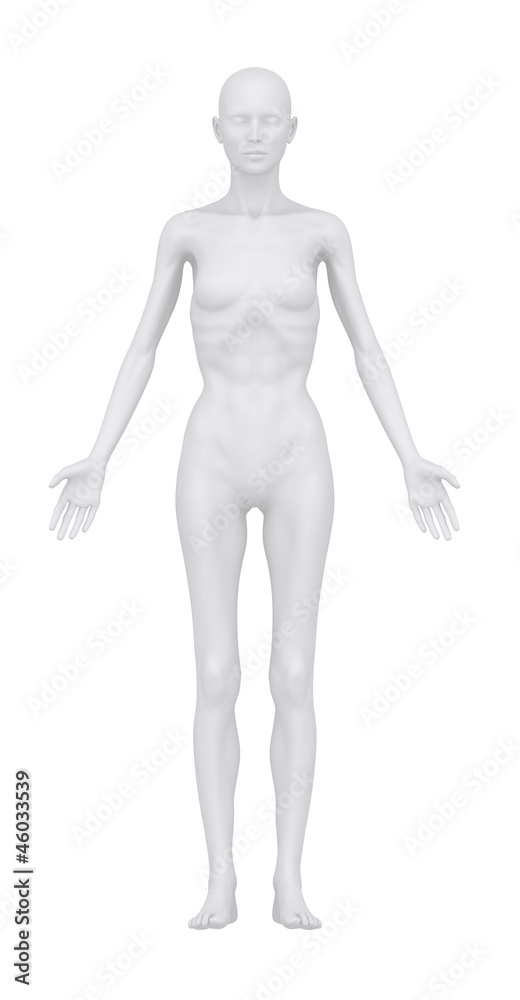 Anorexic woman in anatomical position anterior view Anorexic woman in anatomical position anterior view