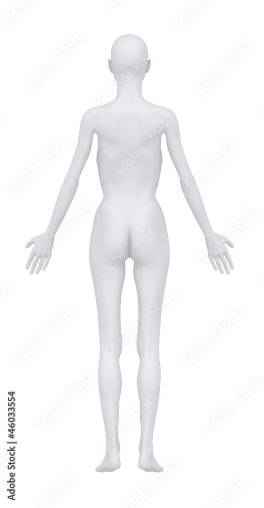 Anorexic woman in anatomical position posterior view Anorexic woman in anatomical position posterior view