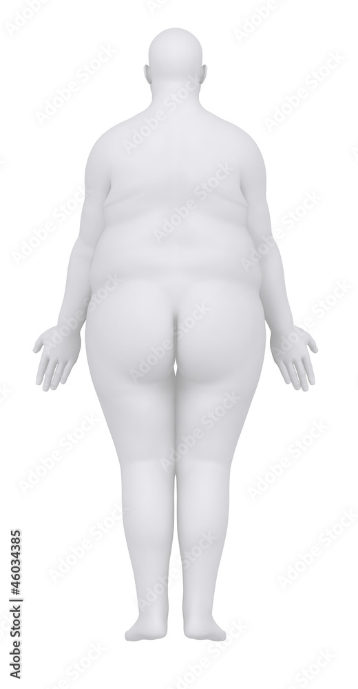 Obese man in anatomical position posterior view Obese man in anatomical position posterior view