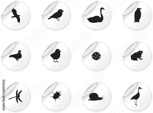 Stickers with birds and insects