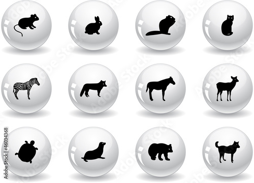 Web buttons, animal icons