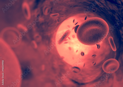 	Blood flowing through an artery (Red Globules) photo