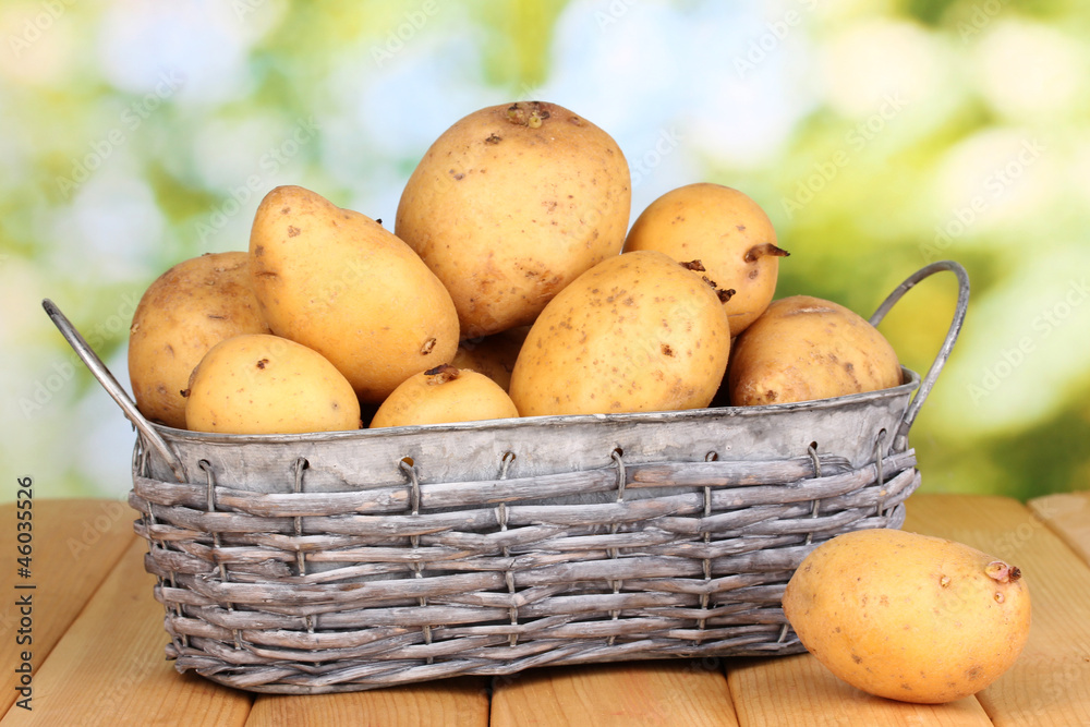 Ripe potatoes on basket on wooden table on natural background Ripe potatoes on basket on wooden table on natural background