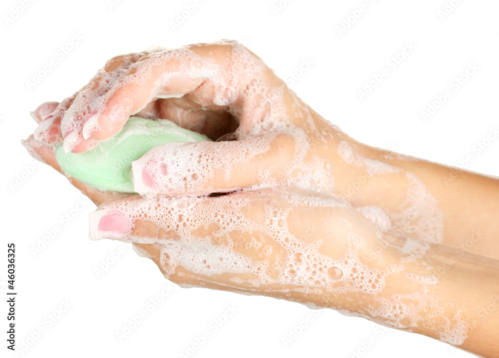 Woman's hands in soapsuds, on white background close-up Woman's hands in soapsuds, on white background close-up