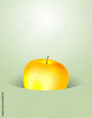 flyer apple