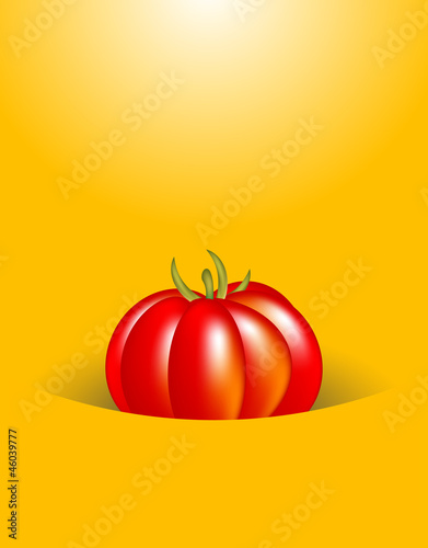 flyer tomato