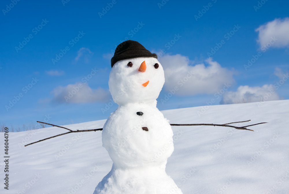 Obraz premium Snow man