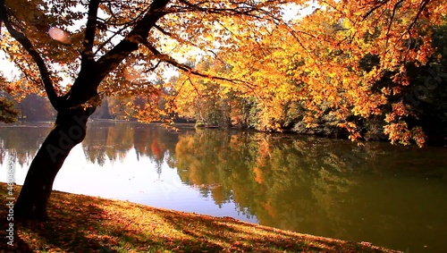 Beautiful autumn day in the park.