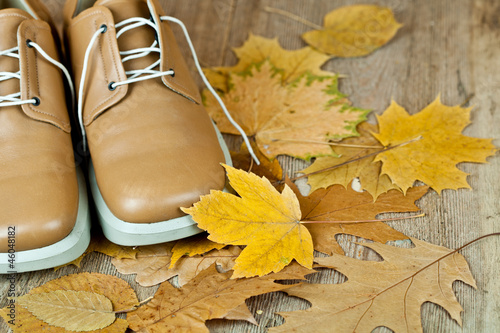 Obraz na plátně leather shoes and yellow leaves