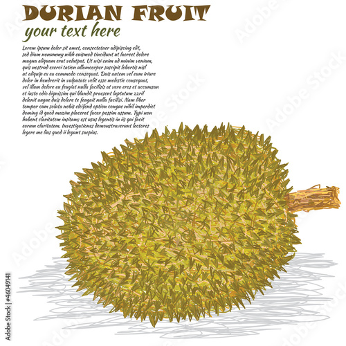 durian