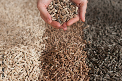 Pellets- biomass photo