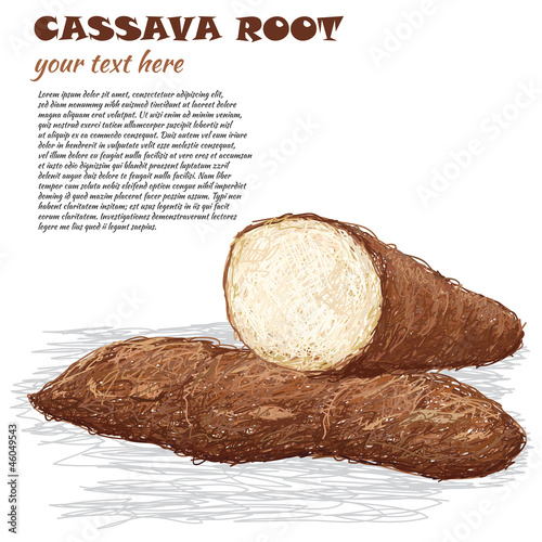 cassava