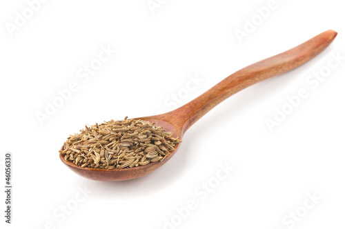 spice turmeric, coriander, cumin in wooden spoon isolated