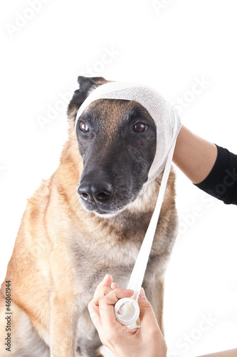 Ohrenverband anlegen