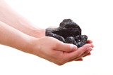 male hand holding coal on white background
