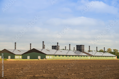 Legehennenfarm photo