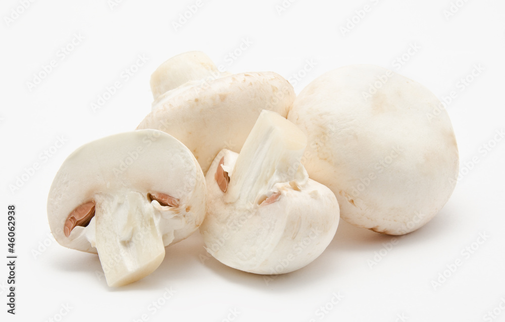 Champignon mushroom white agaricus Champignon mushroom white agaricus