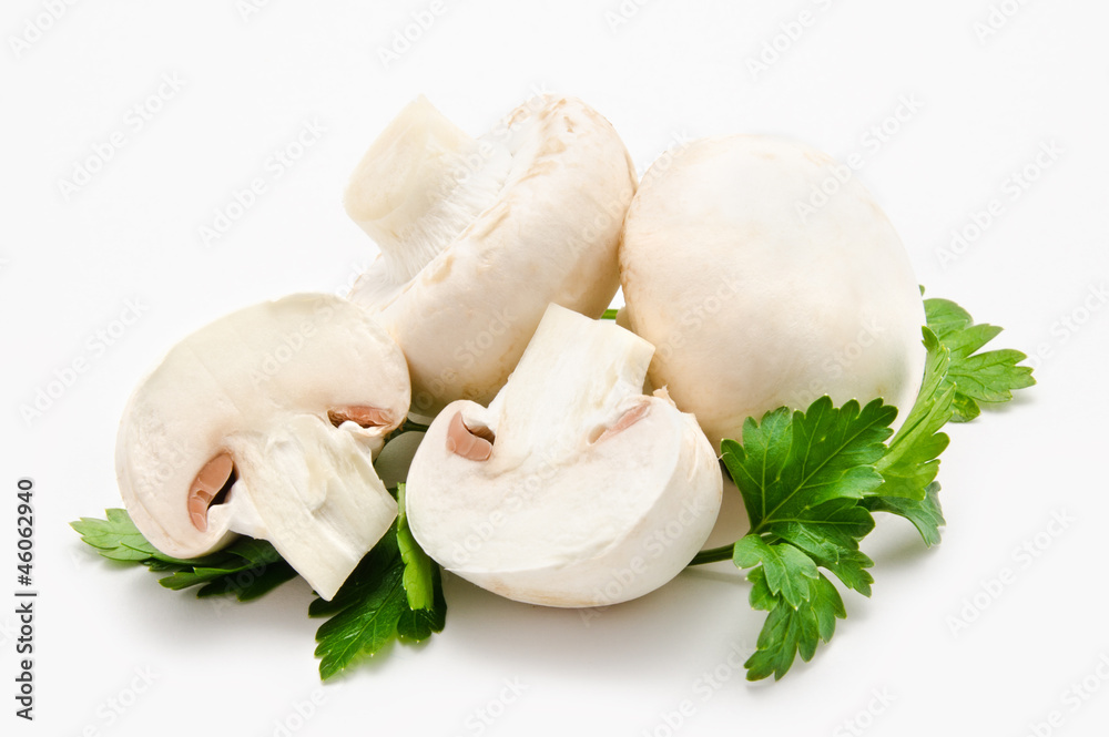 Champignon mushroom white agaricus witn parsley Champignon mushroom white agaricus witn parsley