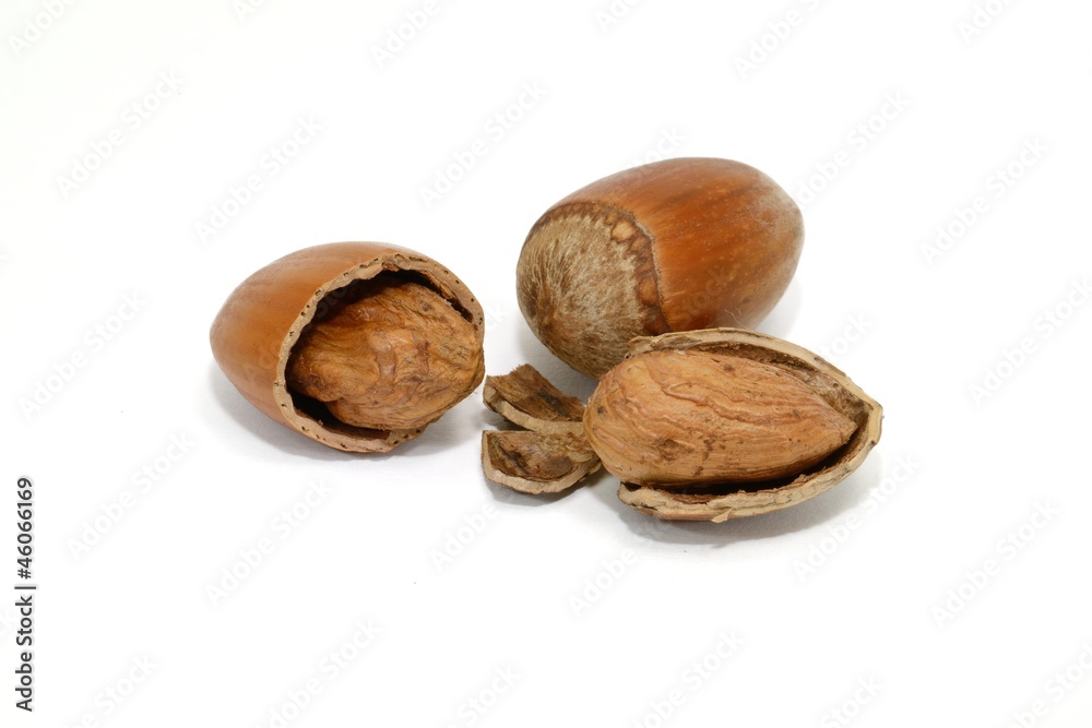 Hazelnuts