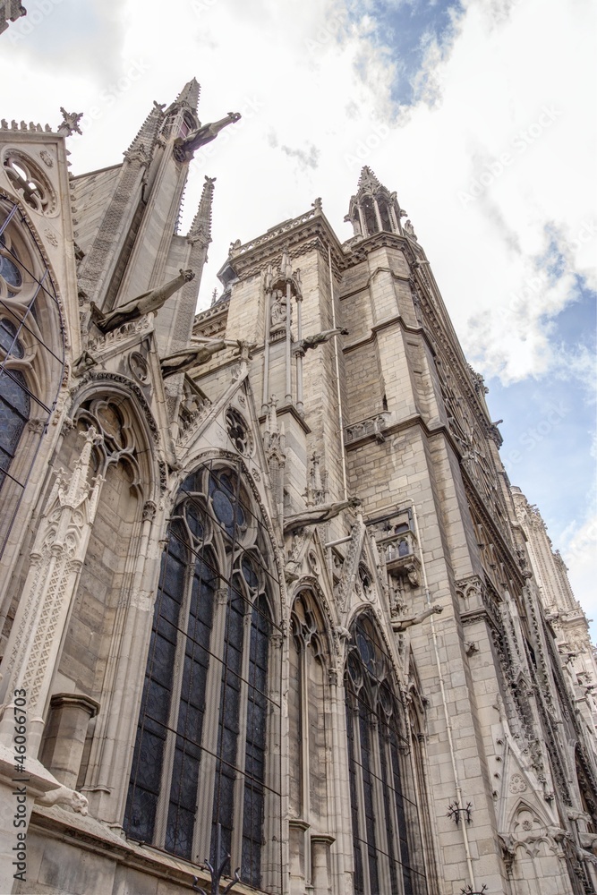 Cattedrale di Notre Dame - Parigi