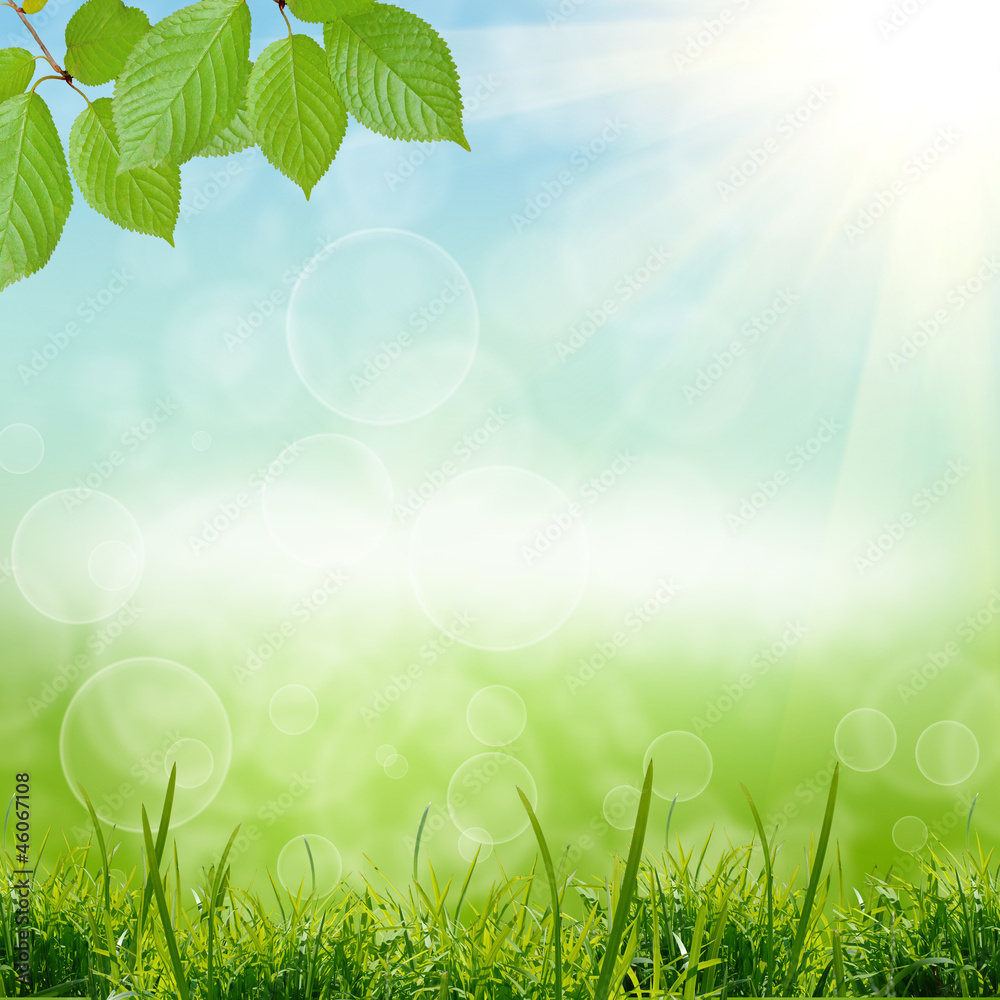 Obraz premium green natute background