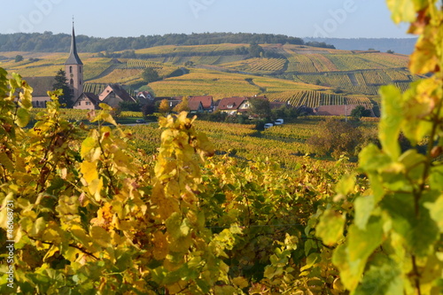 Alsace im Herbst photo