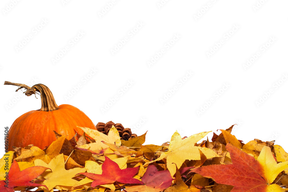 Autumn leaves with pumpkin Autumn leaves with pumpkin