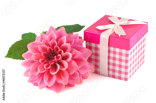 Fototapeta Naklejka Na Ścianę i Meble -  Pink gift box and a beautiful dahlia