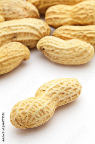 Peanut on white background