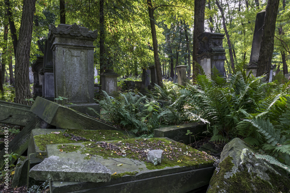 Old graves at historic Jewish cemetery in Warsaw, Poland Old graves at historic Jewish cemetery in Warsaw, Poland