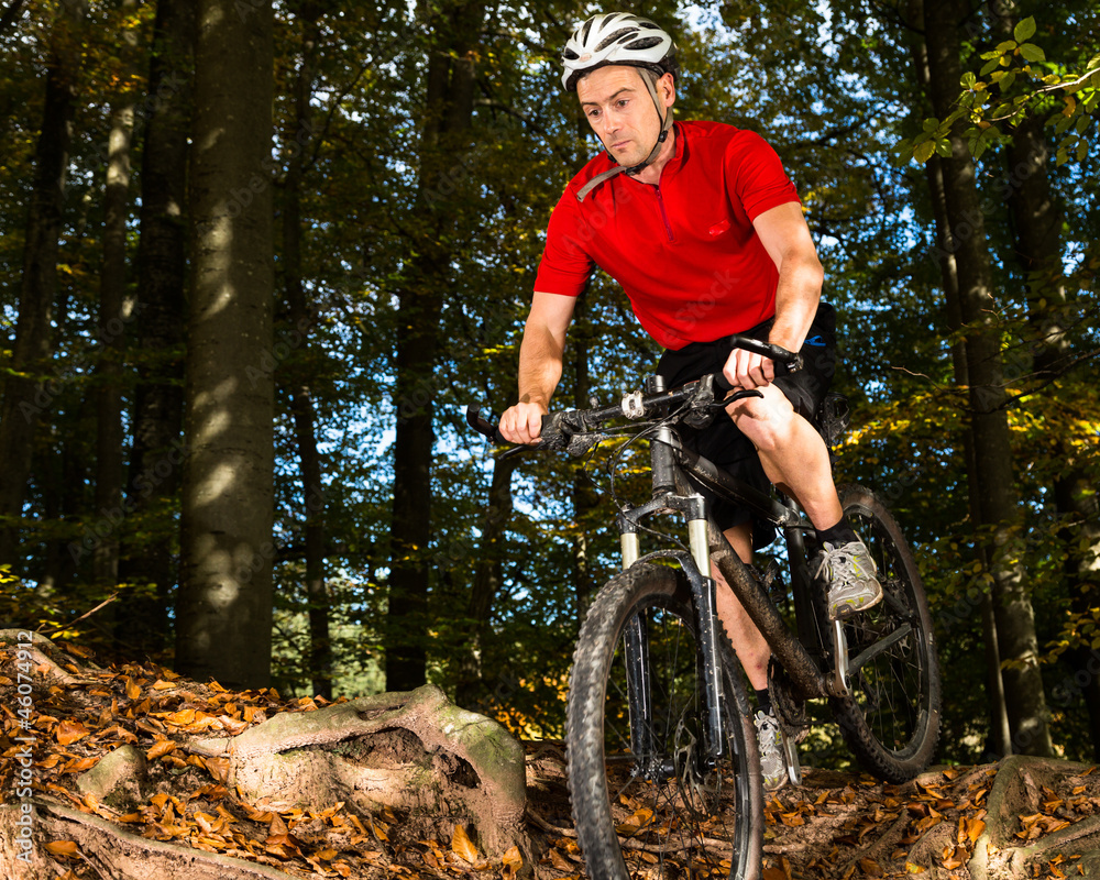 Fototapeta premium Mountainbiker im Downhill