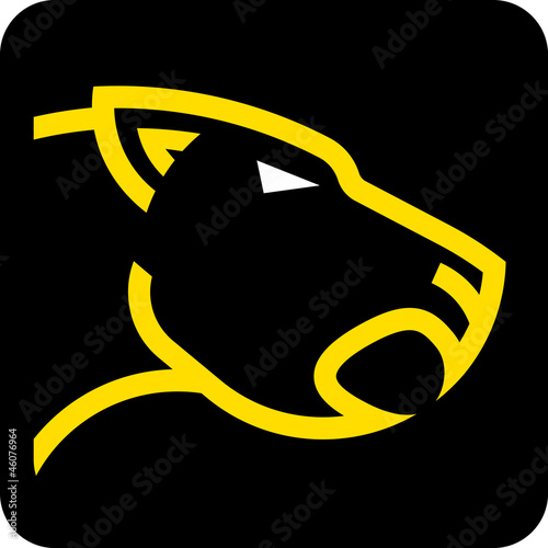 Puma head