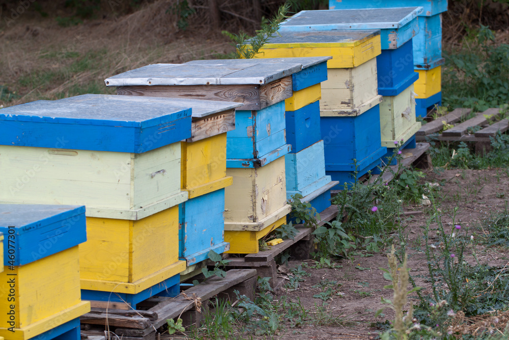 Beehive Beehive